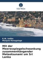 Mit der Meeresspiegelschwankung zusammenhängender Meteotsunami um Sri Lanka
