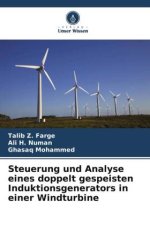 Steuerung und Analyse eines doppelt gespeisten Induktionsgenerators in einer Windturbine
