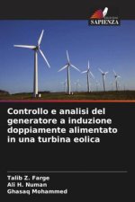 Controllo e analisi del generatore a induzione doppiamente alimentato in una turbina eolica