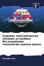 Sudowaq älektricheskaq silowaq ustanowka Issledowanie tehnologii ocenki riska