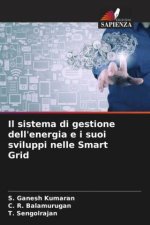 Il sistema di gestione dell'energia e i suoi sviluppi nelle Smart Grid