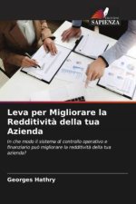 Leva per Migliorare la Redditivit? della tua Azienda