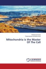 Mitochondria is the Master Of The Cell