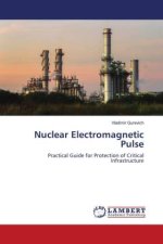 Nuclear Electromagnetic Pulse