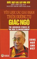 Y?u l??c các giai ?o?n tr?n ???ng tu giác ng?