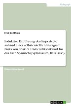 Induktive Einführung des Imperfecto anhand eines selbsterstellten Instagram Posts von Shakira. Unterrichtsentwurf für das Fach Spanisch (Gymnasium, 10