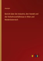 Bericht über die Industrie, den Handel und die Verkehrsverhältnisse in Wien und Niederösterreich