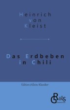 Das Erdbeben in Chili