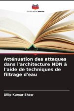 Atténuation des attaques dans l'architecture NDN ? l'aide de techniques de filtrage d'eau