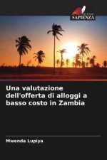 Una valutazione dell'offerta di alloggi a basso costo in Zambia