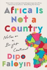 Africa Is Not a Country: Notes on a Bright Continent