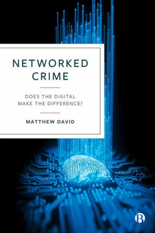 Networked Crime: Does the Digital Make the Difference?