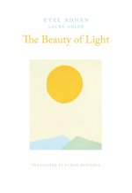 The Beauty of Light: An Interview