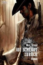 Joe schlägt zurück