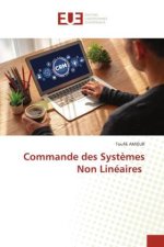 Commande des Syst?mes Non Linéaires