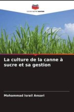 La culture de la canne ? sucre et sa gestion