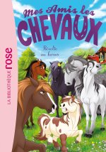 Mes amis les chevaux 42