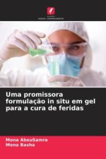 Uma promissora formulaç?o in situ em gel para a cura de feridas