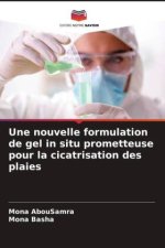 Une nouvelle formulation de gel in situ prometteuse pour la cicatrisation des plaies