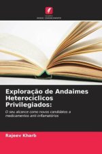 Exploraç?o de Andaimes Heterocíclicos Privilegiados: