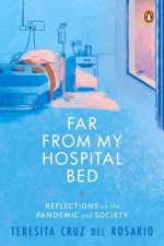 Far from My Hospital Bed: Reflections on the Pandemic and Society