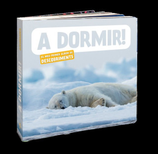 A DORMIR