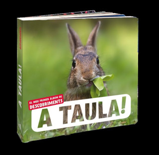 A TAULA