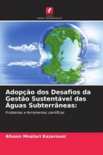Adopç?o dos Desafios da Gest?o Sustentável das Águas Subterrâneas: