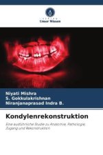 Kondylenrekonstruktion