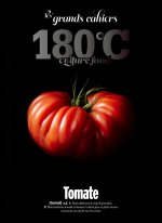 Grand cahier tomate