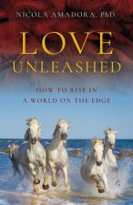 Love Unleashed - How to Rise in a World on the Edge