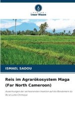 Reis im Agrarökosystem Maga (Far North Cameroon)