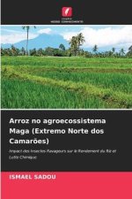 Arroz no agroecossistema Maga (Extremo Norte dos Camar?es)