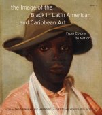 The Image of the Black in Latin American and Caribbean Art, Volume 1: From Colony to Nation