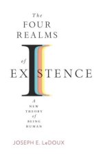 The Four Realms of Existence – A New Theory of Being Human