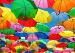 All the Umbrellas 1000 Piece Puzzle