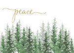 Winter Evergreens Deluxe Boxed Holiday Cards