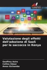 Valutazione degli effetti dell'adozione di SaaS per le saccocce in Kenya