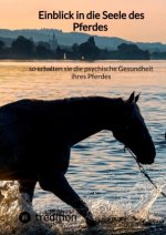 Einblick in die Seele des Pferdes - so erhalten sie die psychische Gesundheit ihres Pferdes