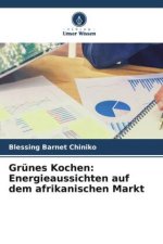 Grünes Kochen: Energieaussichten auf dem afrikanischen Markt