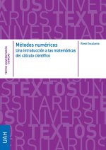 METODOS NUMERICOS. UNA INTRODUCCION A LAS MATEMATICAS DEL CALCULO CIENTIFICO