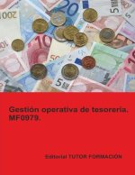 GESTION OPERATIVA DE TESORERIA MF0979