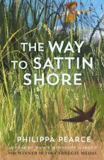 The Way to Sattin Shore  (Paperback)