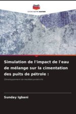 Simulation de l'impact de l'eau de mélange sur la cimentation des puits de pétrole :