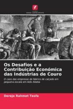 Os Desafios e a Contribuiç?o Económica das Indústrias de Couro