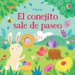 CONEJITO SALE DE PASEO