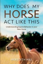 Why Does My Horse Act Like This?