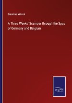A Three Weeks' Scamper through the Spas of Germany and Belgium