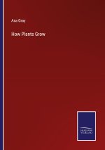 How Plants Grow