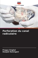 Perforation du canal radiculaire